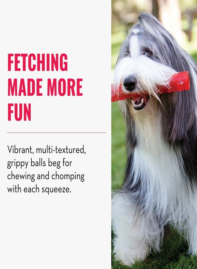 KONG Squeezz Ball for Dogs, Durable Dog Fetch Toy, Fun Bounce with Squeaker, Grippy Textures for Light Chewing, Safe, Non-Toxic, Gentle on Teeth & Gums, for Fetch, Chase, Assorted Colours, Large - Image 3